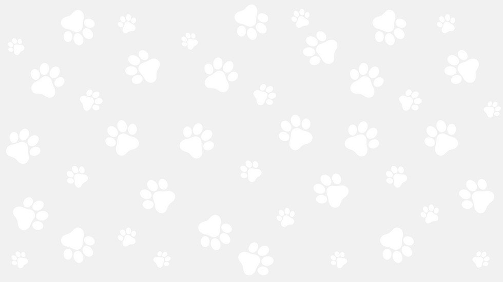 PATES DE CHIEN.png
