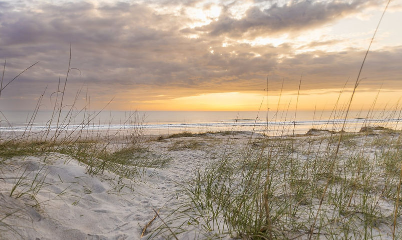 amelia island beach_edited.jpg