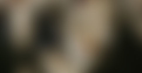 Afla aici daca mergi la razboi cu Russia sau nu. Care sunt persoanele eligibile pentru incorporare?