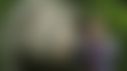 Recomandare: un film super bun, mai putin cunoscut, disponibil pe Netflix!