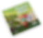 LIVRO_5_INGLÊS - Magical Atitudes-1-min.png
