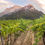 Miniaturbild: Weingut Puddu Sardinien