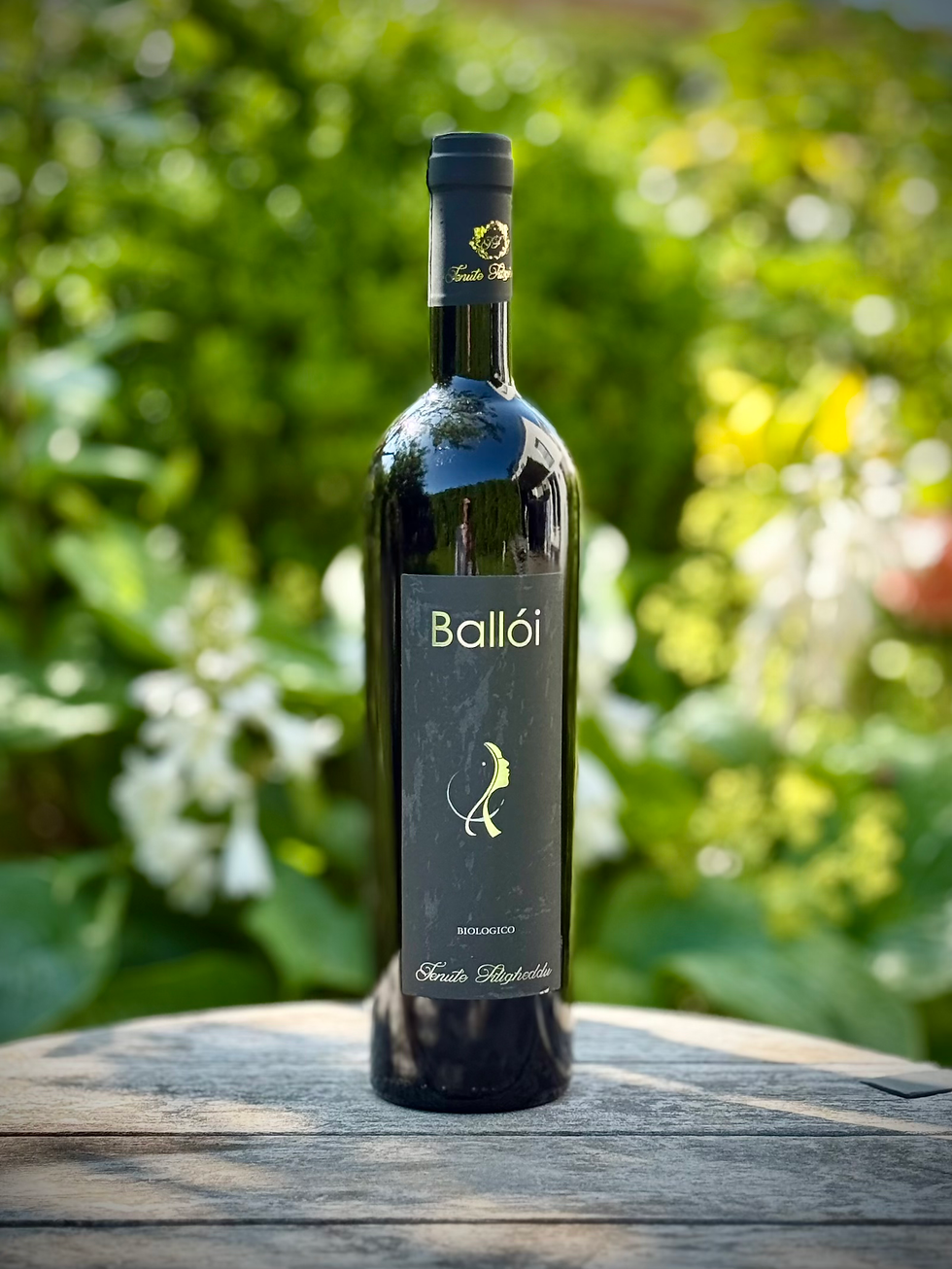 Eine Flasche Balloi Colli del Limbara von Tenute Filigheddu