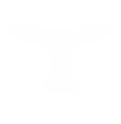 Drone Mapping and surveying 