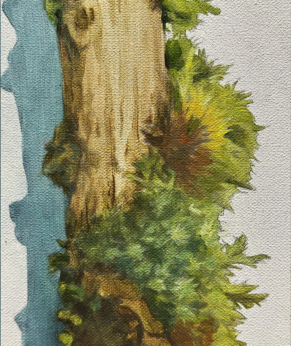 Thumbnail: Krogsered