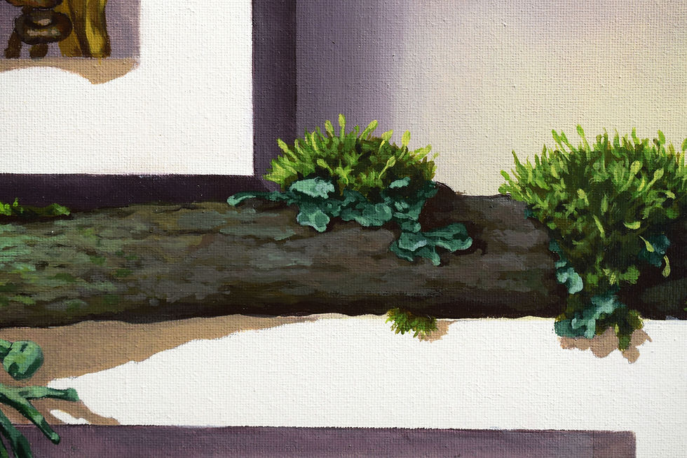 Thumbnail: Craterellus