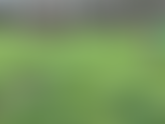 Operation: Pasture Pig <again>