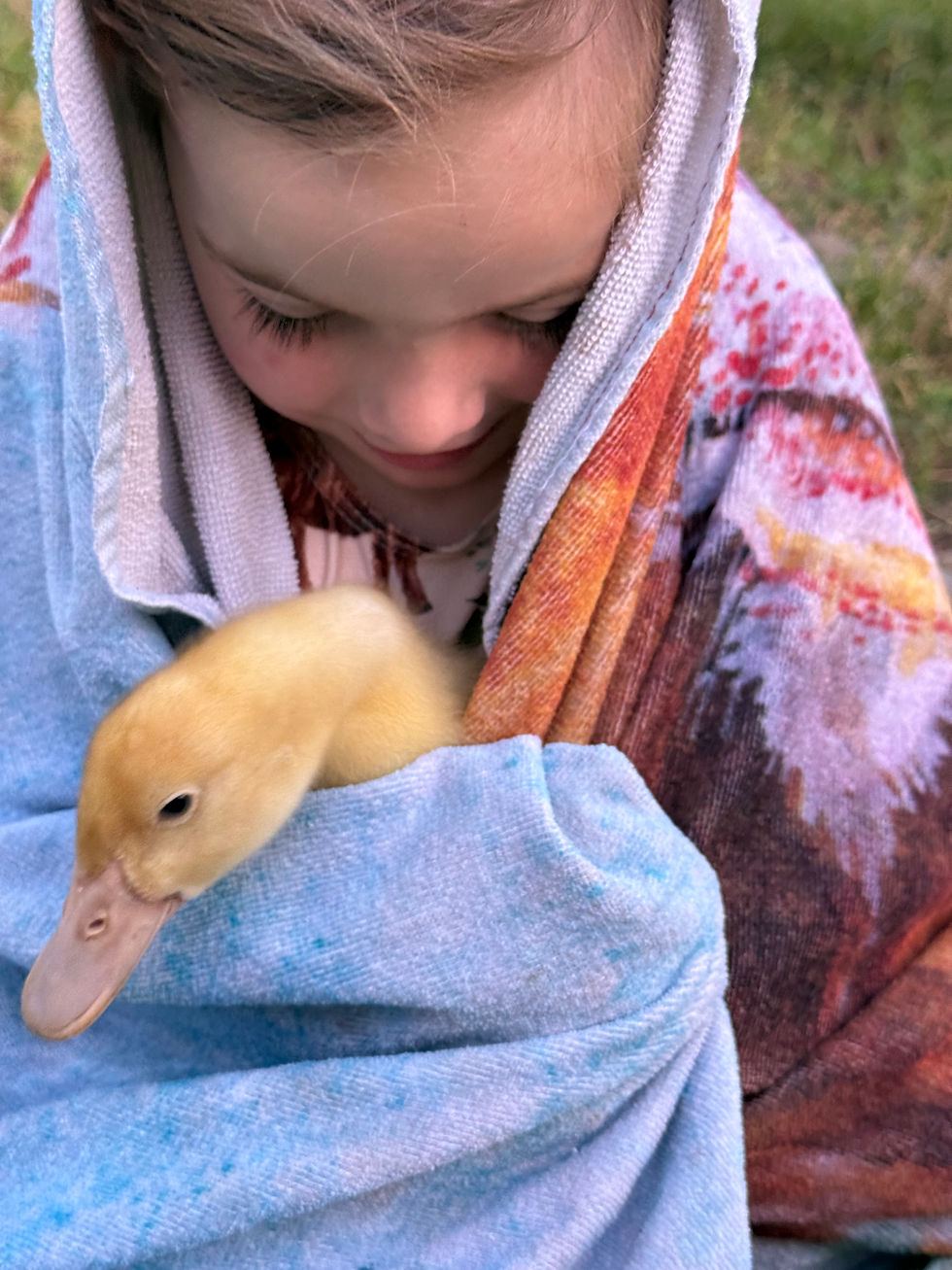 paisley holding one of the sweet baby Pekins.