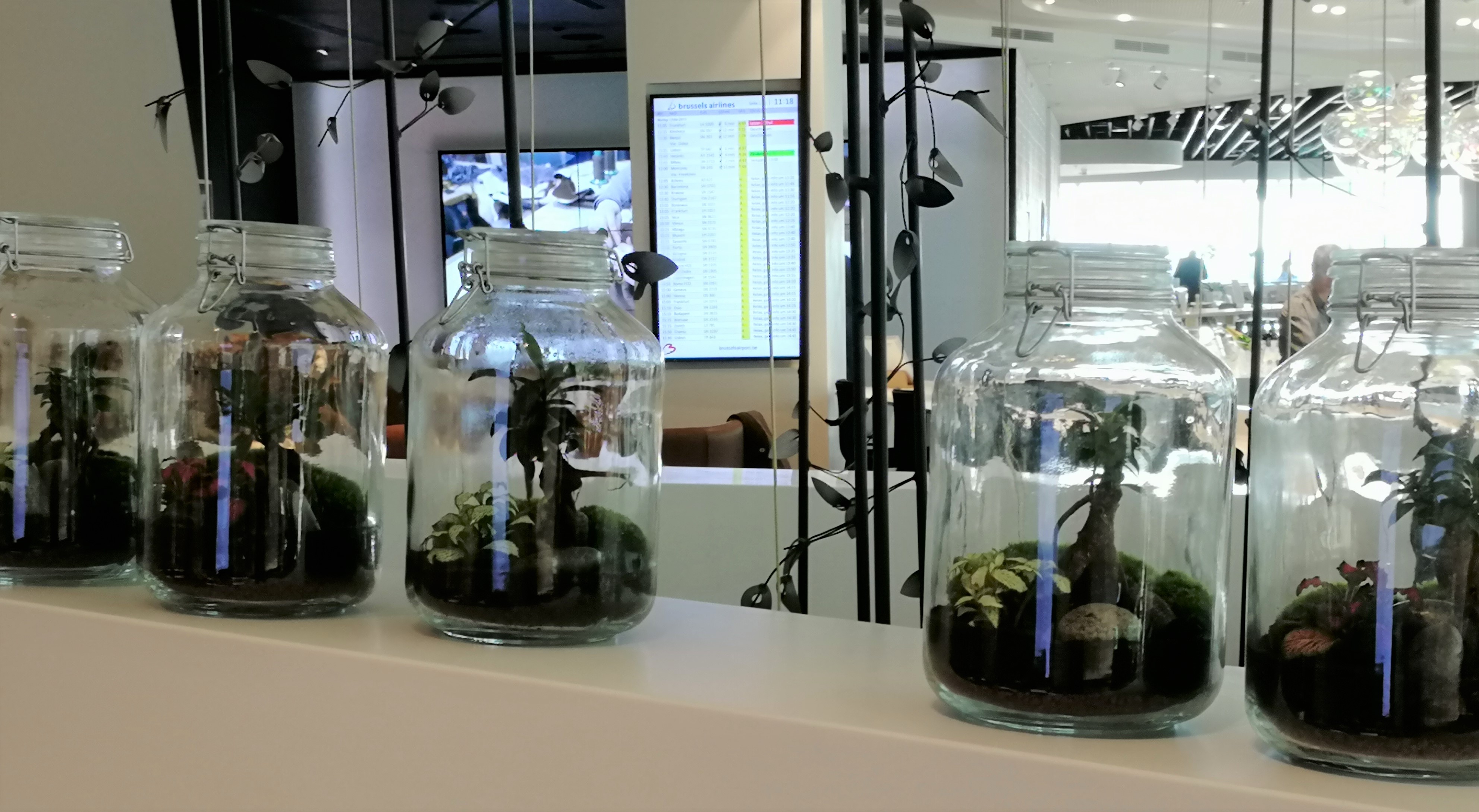 Lexus Business Lounge - Brussels