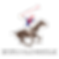 polo club b h.png