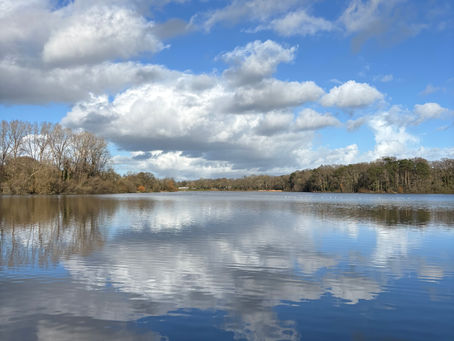 Walks from Knowle Meadow