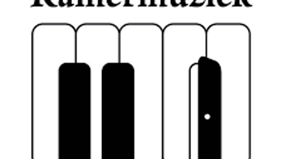Lunch Concert 's Hertogenbosch