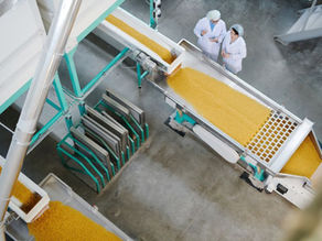 Micro e pequenas indústrias estão mais otimistas sobre lucro e geração de vagas