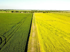 BNDES muda foco e financia mais o agro que a indústria; economistas e senadores criticam
