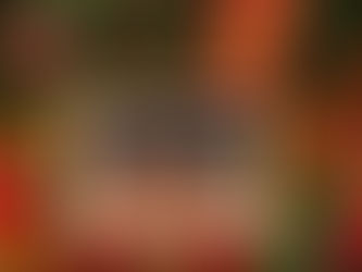 Vendas de Natal devem movimentar R$ 23,33 bilhões no comércio eletrônico