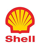 269_shell.jpg