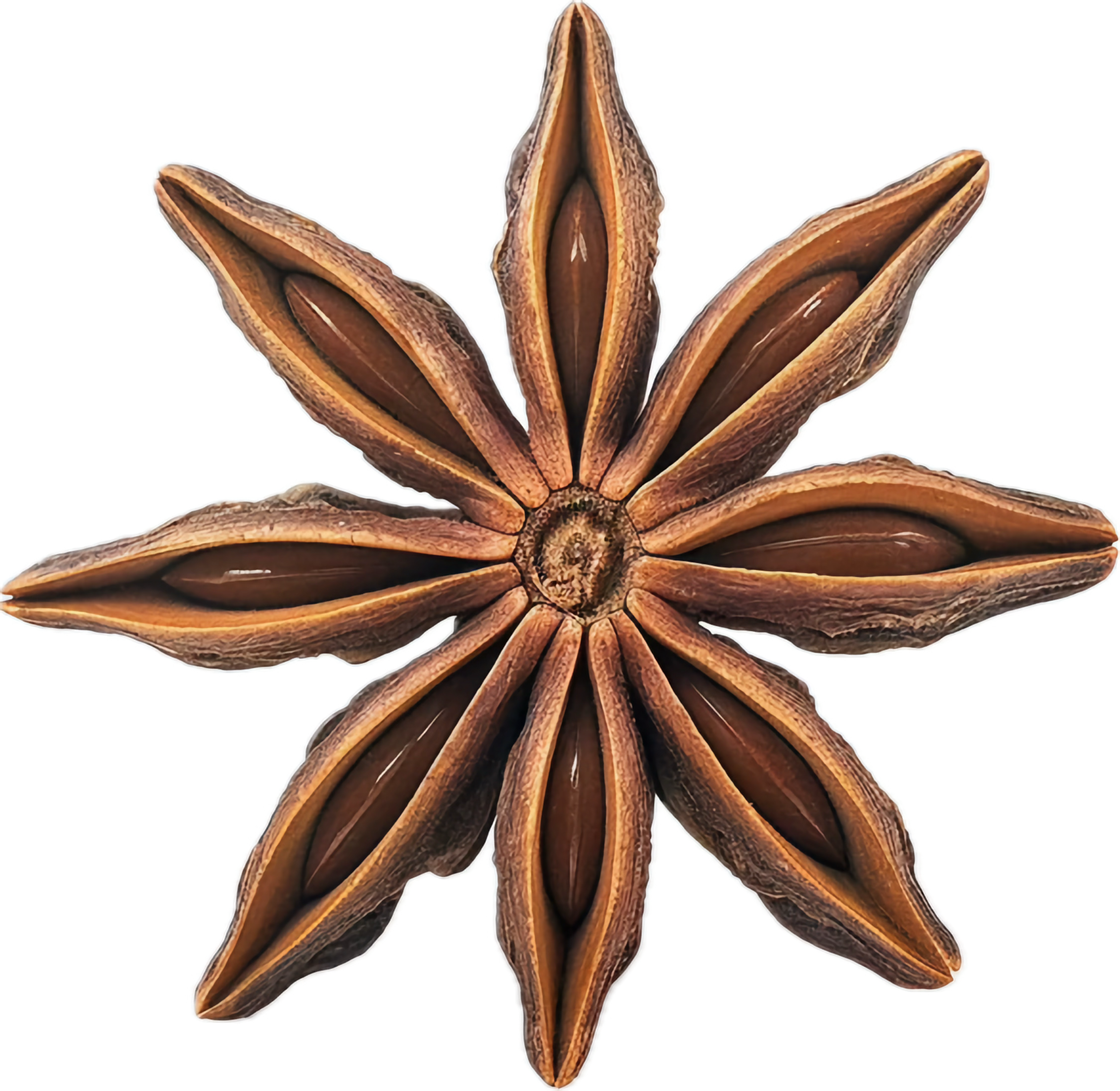 vecteezy_close-up-of-star-anise-spice_45932023.png