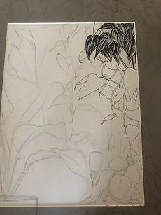 FD656CEE-9136-4EC3-8094-936937516D10.jpeg