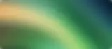 5 1.webp