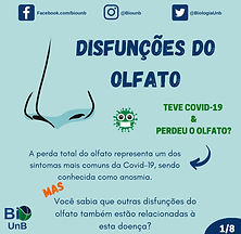 disfunções do olfato.jpeg
