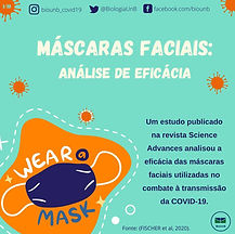 (3)capa.tipos de máscara.jpeg