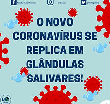 O novo corona vírus capa.jpeg