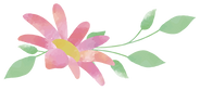 花のイラスト