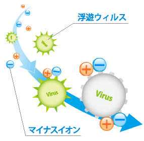 浮遊ウイルス