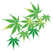 料亭紅葉