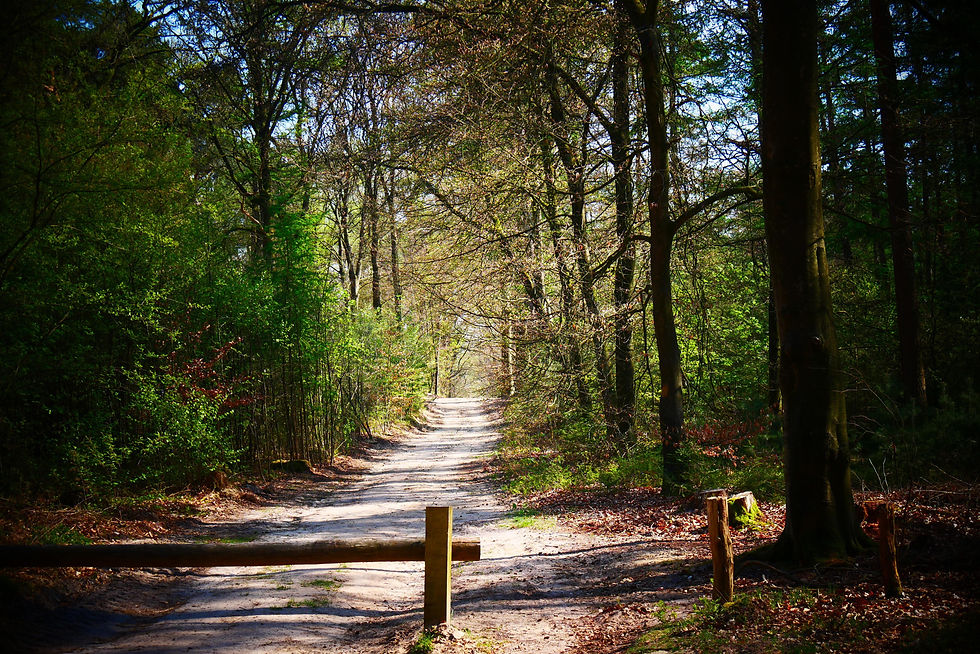 Transforming Your Inner Critic