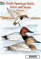 North American Ducks, Geese and Swans Coloring Book