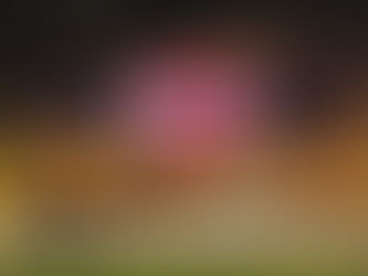 미국 위스콘신 카지노서 총기난사...3명 사망 1명 중상(종합)