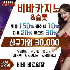 비바카지노_300_300.gif