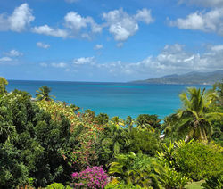 View from the property