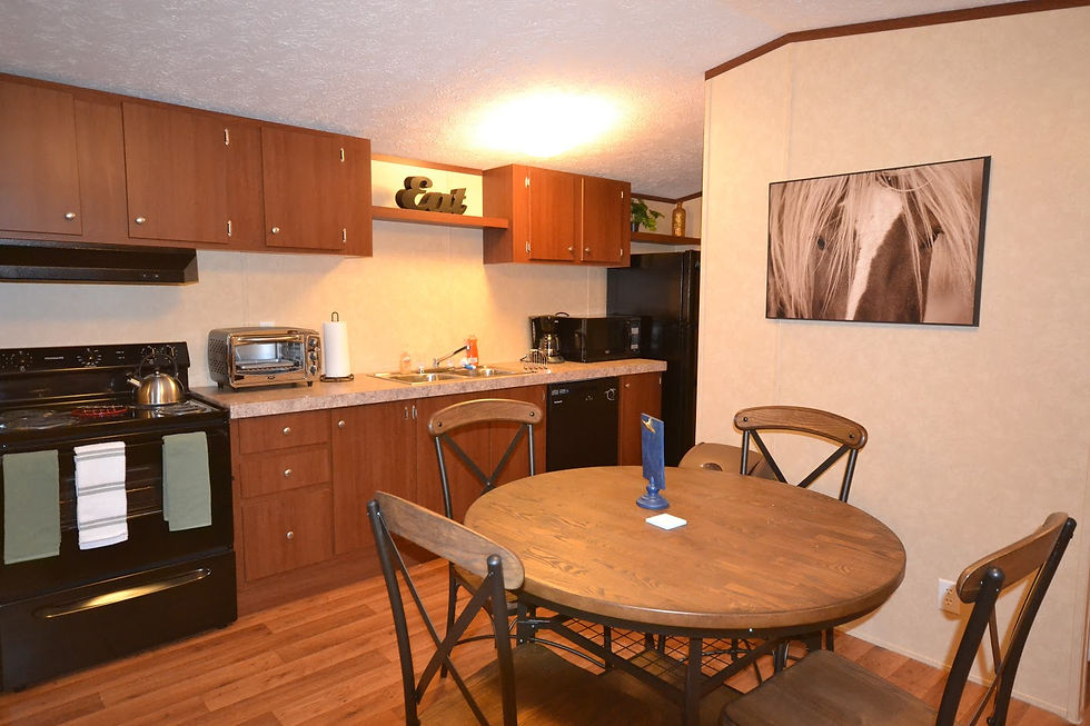 Updated Kitchen
