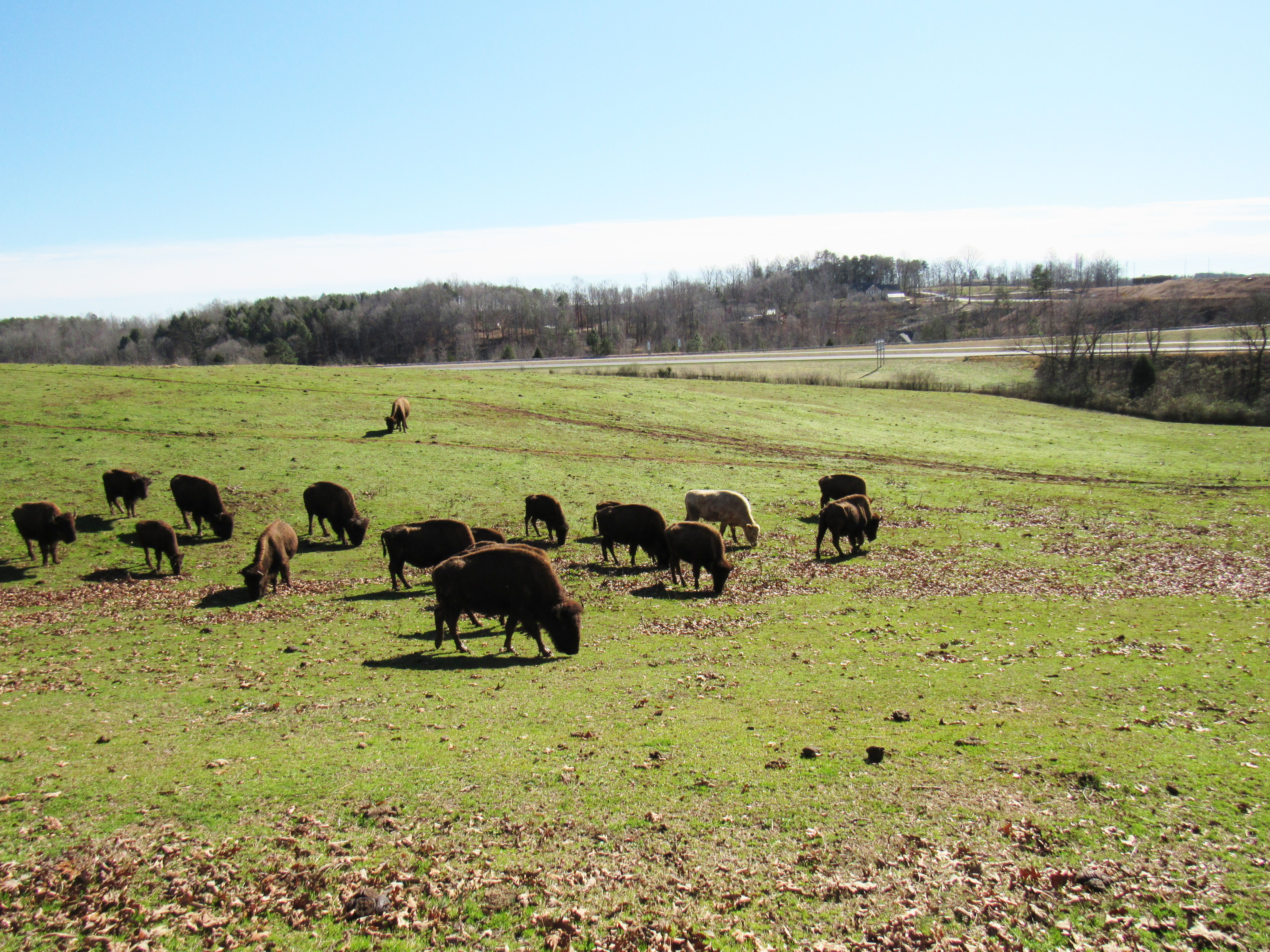 Most affordable rental Tryon NC United States Tryon Rentals, LLC