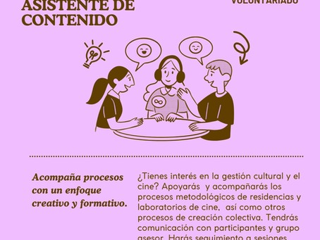 ¡Abierto nuestro Programa de Prácticas y Voluntariado!