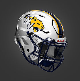 Neuqua Valley Wildcats