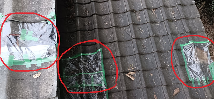 割れ瓦緊急雨対策2.jpg