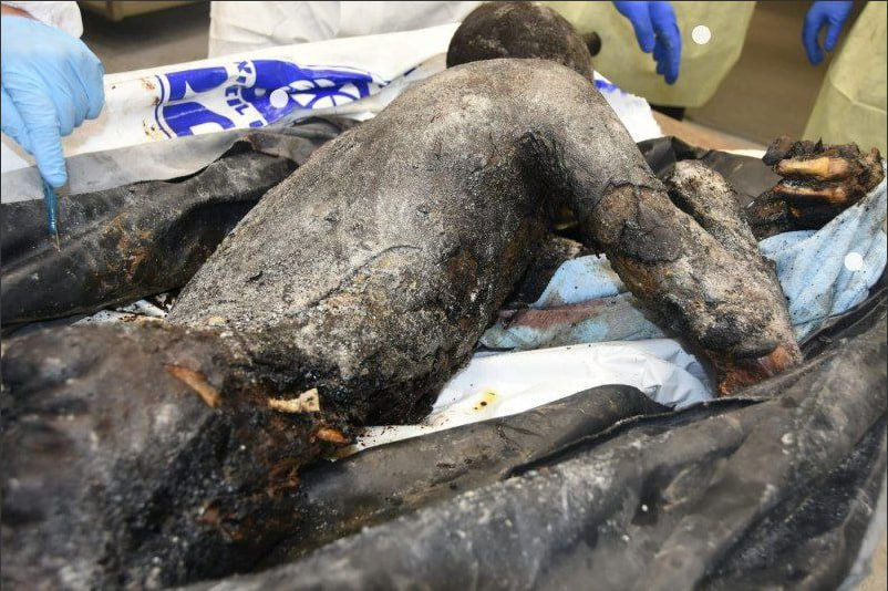 Hamas-massacre_net%20Forensic%20scientists%20working%20on%20a%20burned%20Israeli%20body.jpg