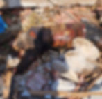 Heavily burned dead body found among rubble of a destroyed home