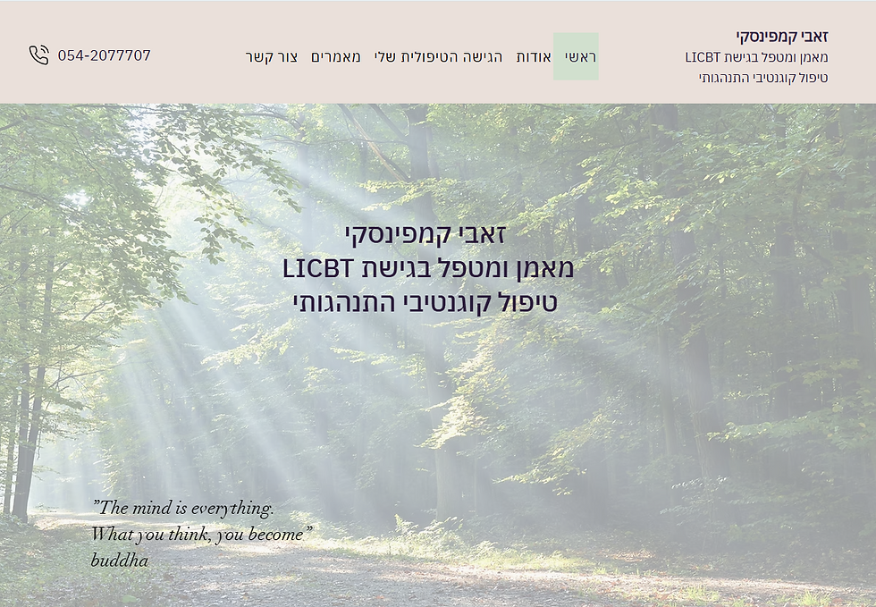 אתר של זאבי קמפינסקי