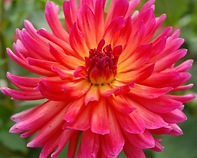image3.png
