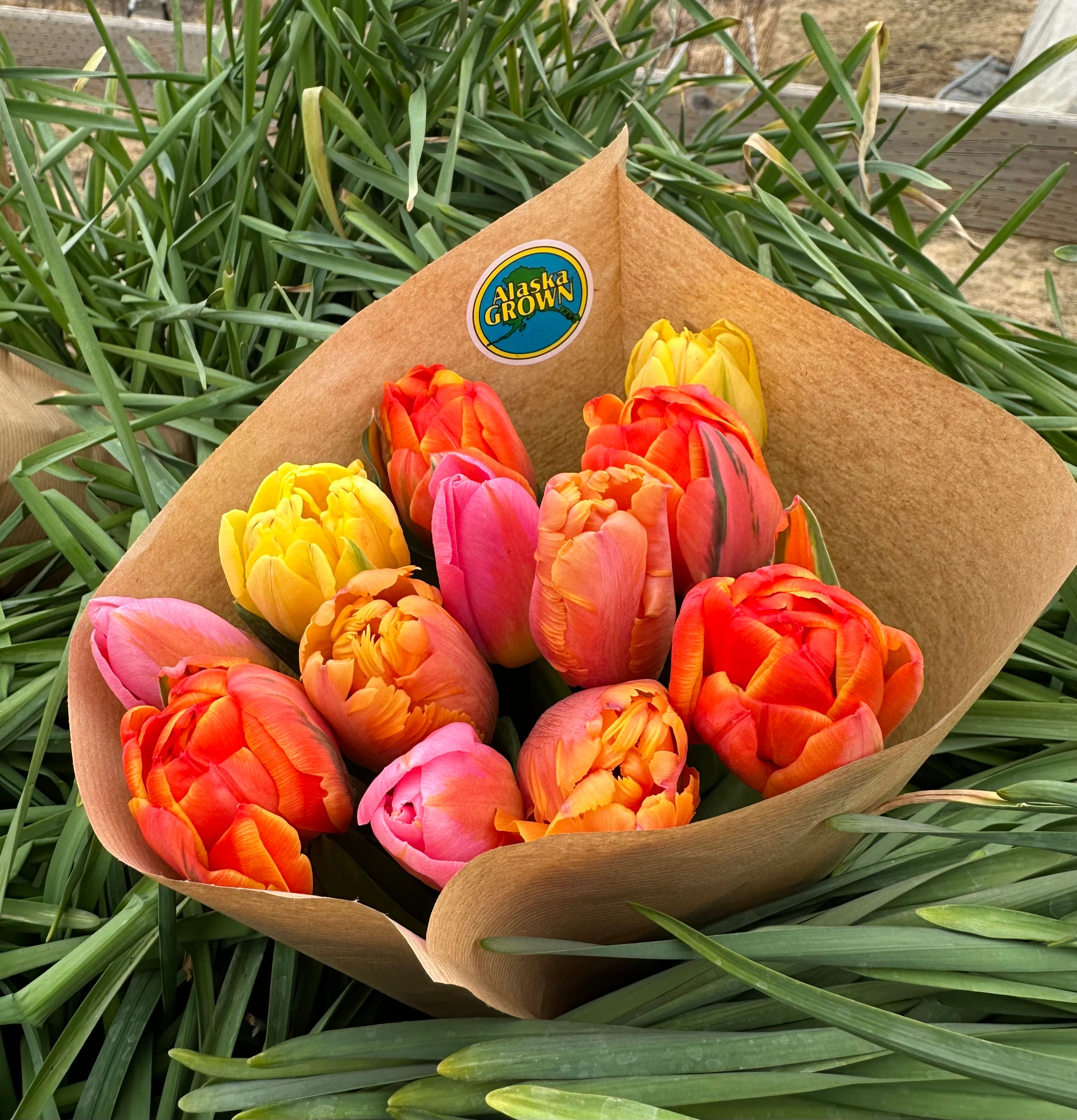 Large Tulip Bouquet