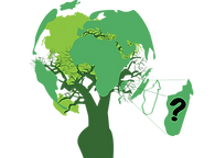 logo-madagascar attitude.png