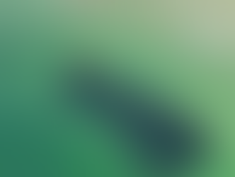 Cardumes de manjubinhas nas praias do Rio, do encantamento ao alerta! 