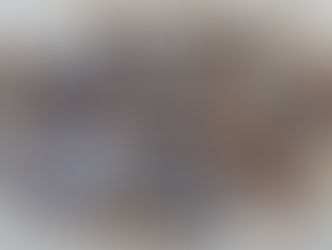 Fotos da Ação na Praia Vermelha