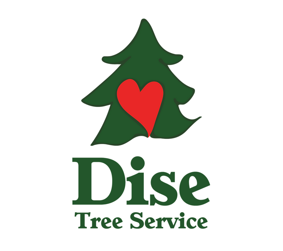DiseTreeService_Logo2026.png