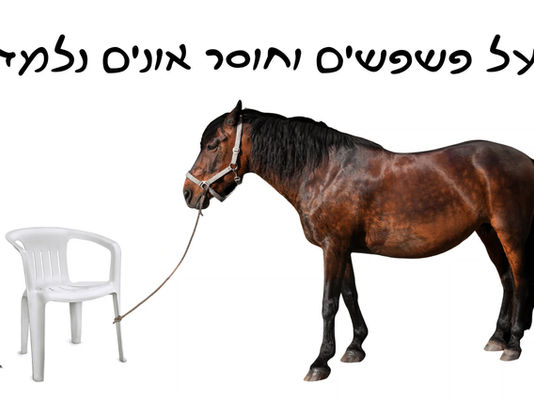 על פשפשים וחוסר אונים נלמד