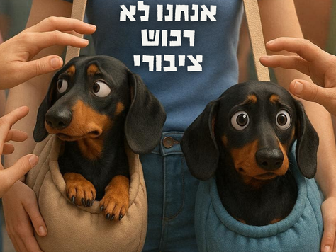 להיות כלב קטן וחמוד זה לא פשוט בכלל...